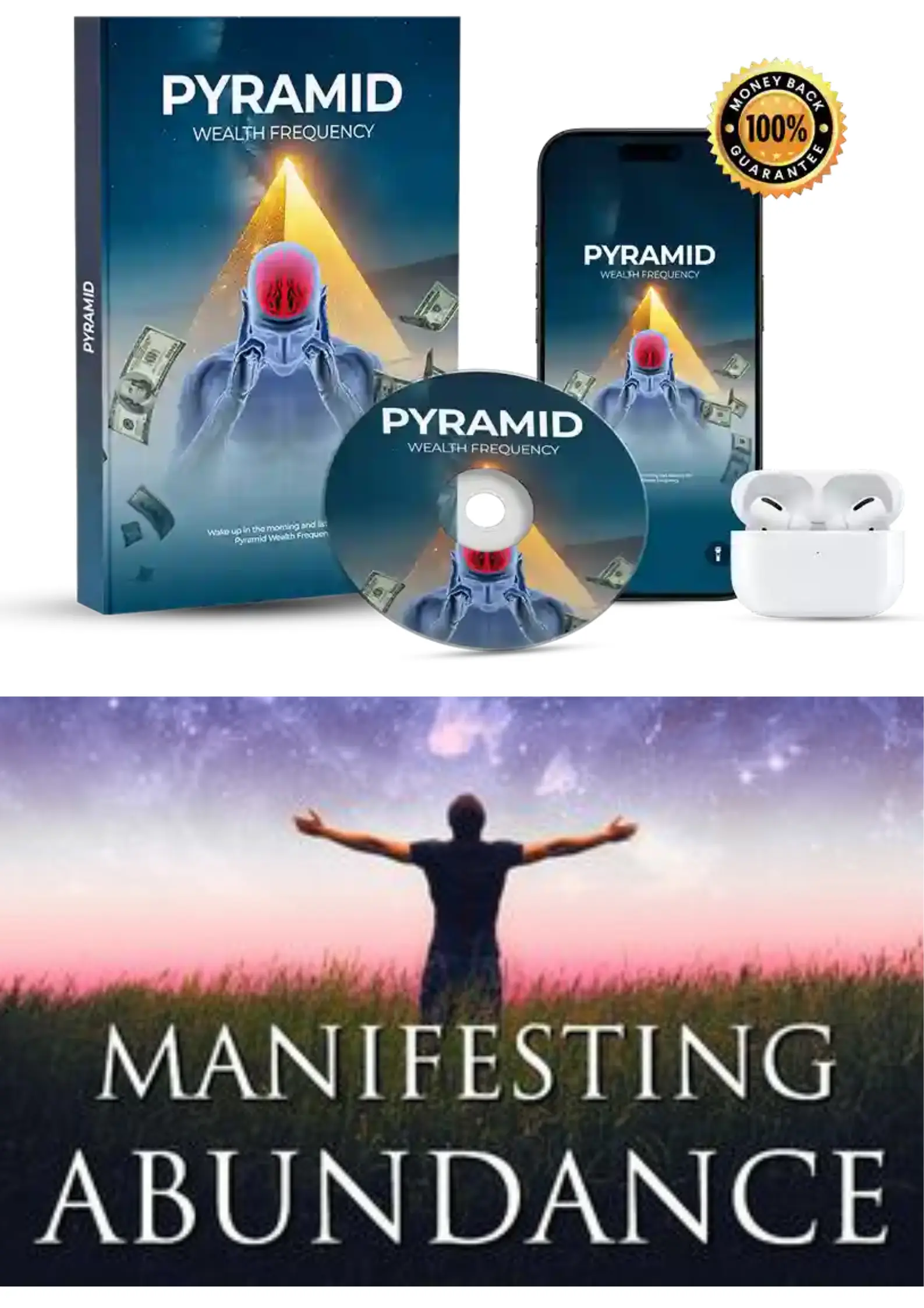 Pyramid Wealth Frequency  official website